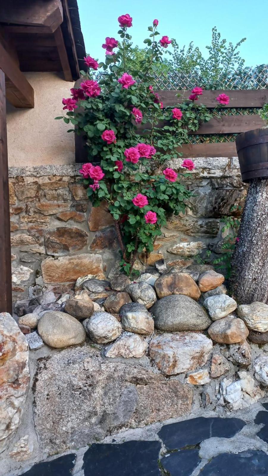 Rozas Casa Del Curaゲストハウス エクステリア 写真